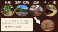 クラウドファンディングプロジェクト：香り豊かなカカオ香茶～チョコレートのような香りを、すっきり楽しむアップサイクルティー～