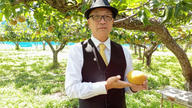 クラウドファンディングプロジェクト：フードロスゼロへ！ワインソムリエが作る美味しい梨を余すことなく使ったSDGs「すてない梨シードル」