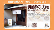 クラウドファンディングプロジェクト：【通販初解禁】行列ができる発酵ベーカリー「パンタス＋」と創る、濃厚とろける有機カカオハスクベーグル