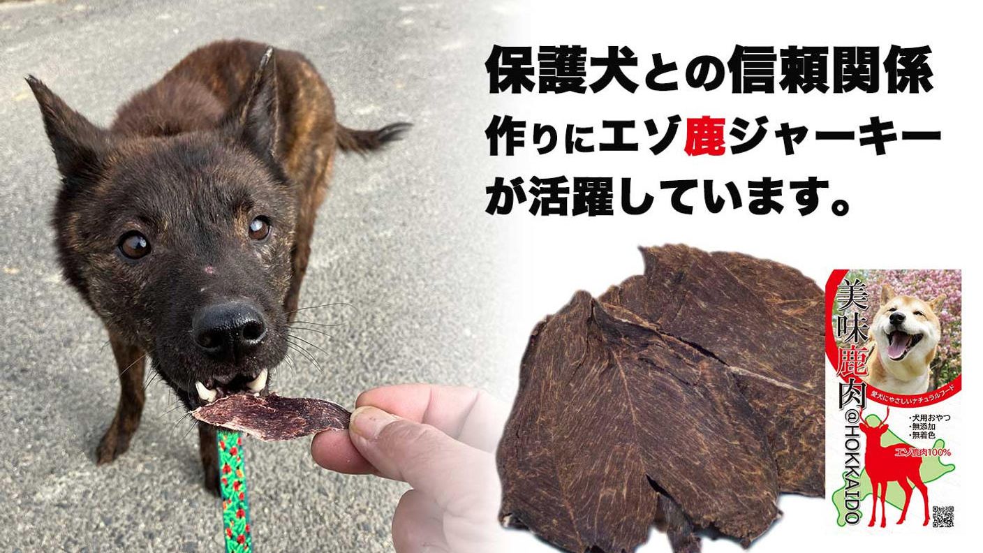 クラウドファンディングプロジェクト：DOG RESCUE SMILE FOR ALL　愛犬と共に「命」の笑顔を広げようキャンペーン