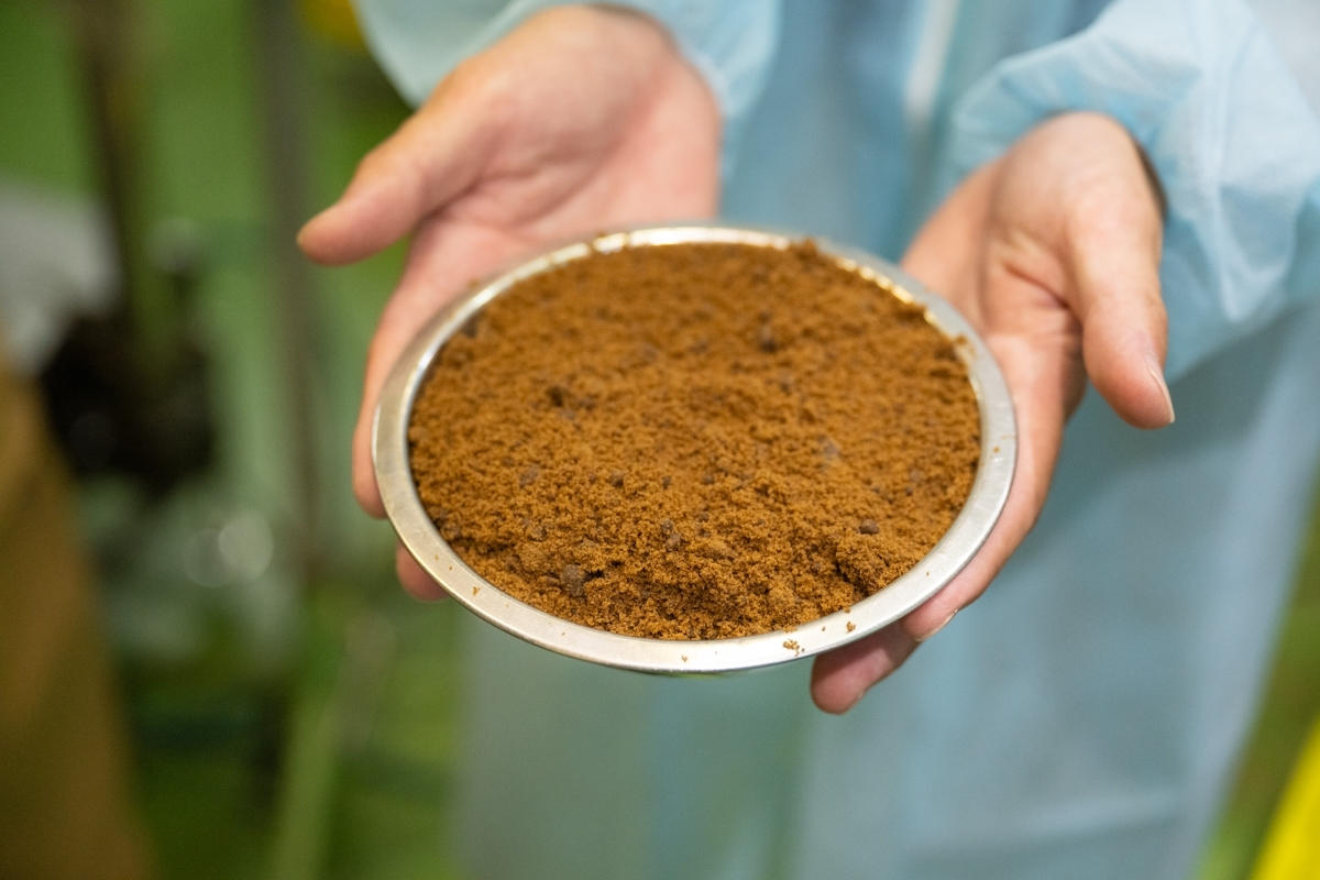 深いコクと香り！東京で100年以上続く、老舗の業と玉砂糖 | クラウド