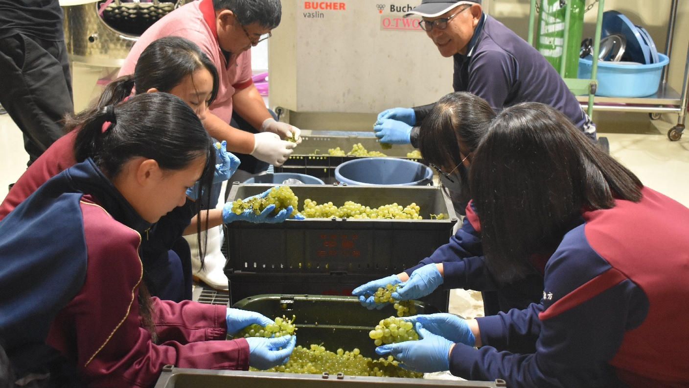クラウドファンディングプロジェクト：【第2弾】青森県鶴田町から全国へ！！「鶴田町産のワイン」を次世代の青森の名産品にしたい！！