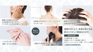 クラウドファンディングプロジェクト：敏感肌にも、心地よく。静岡産「茶の実オイル」から生まれた、天然香る保湿オイル