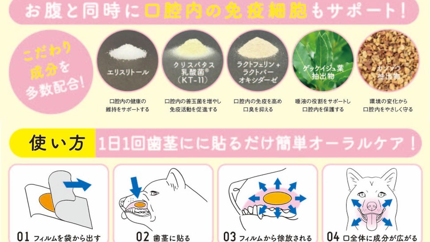 クラウドファンディングプロジェクト：貼るケアで、ペットの幸せを守る。「ペティオーラAD」これからのペットオーラルケア新常識