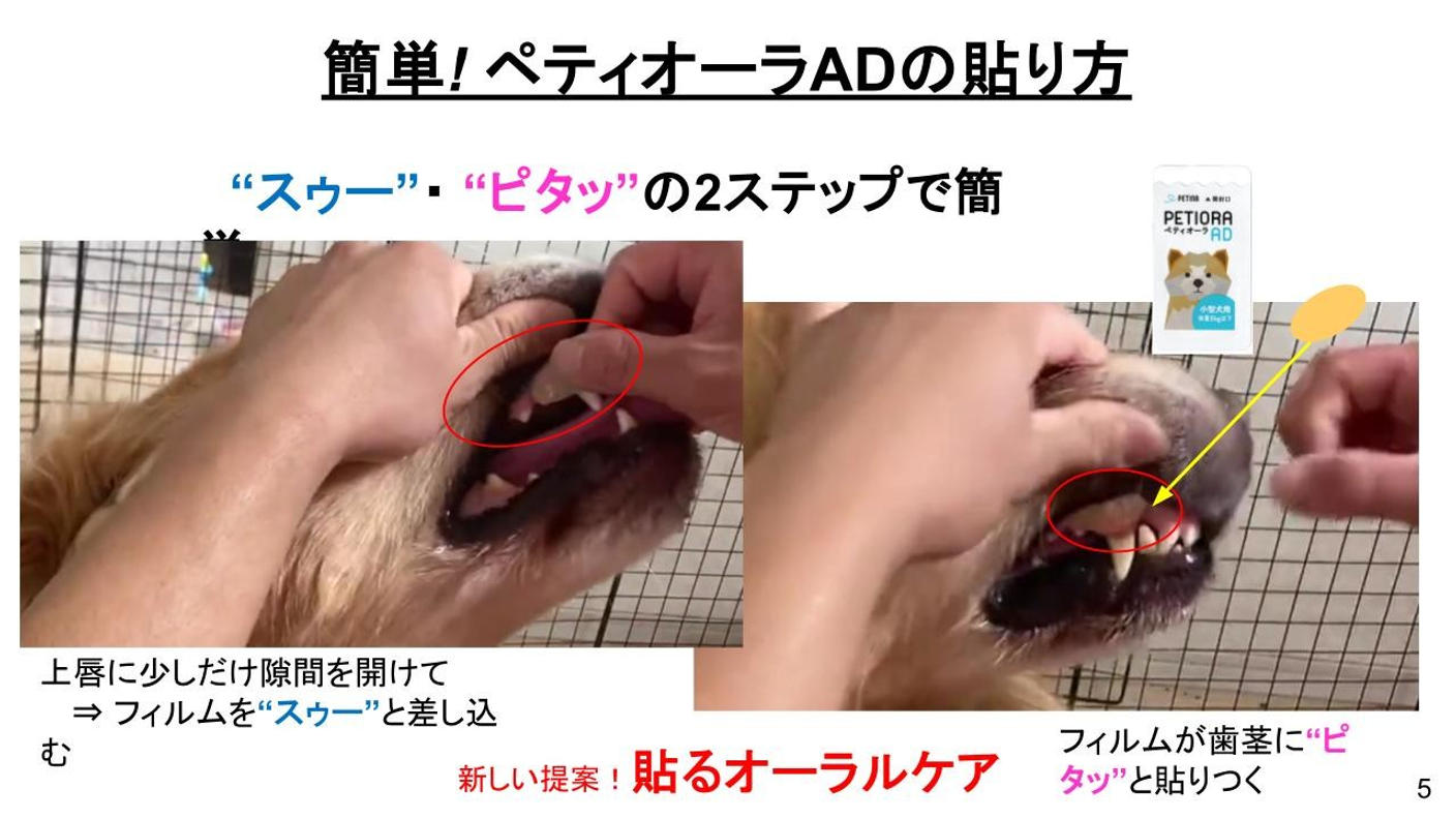 クラウドファンディングプロジェクト：貼るケアで、ペットの幸せを守る。「ペティオーラAD」これからのペットオーラルケア新常識