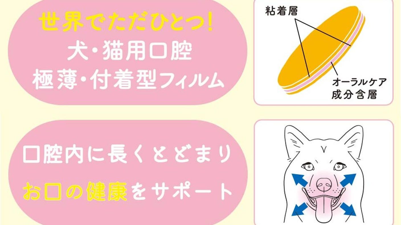 クラウドファンディングプロジェクト：貼るケアで、ペットの幸せを守る。「ペティオーラAD」これからのペットオーラルケア新常識
