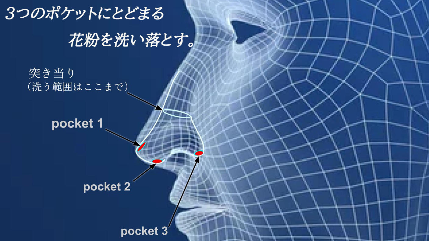 クラウドファンディングプロジェクト：鼻うがいが苦手な人におすすめ！次世代の花粉対策。ふわりとした心地よい鼻洗浄を