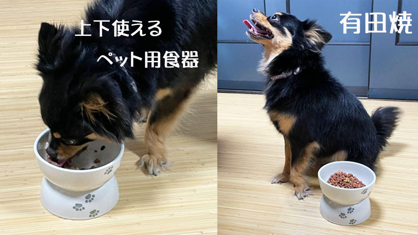 クラウドファンディングプロジェクト：状況に応じてすぐ使い分けられる！上下どちらでも使える有田焼のペット用食器　