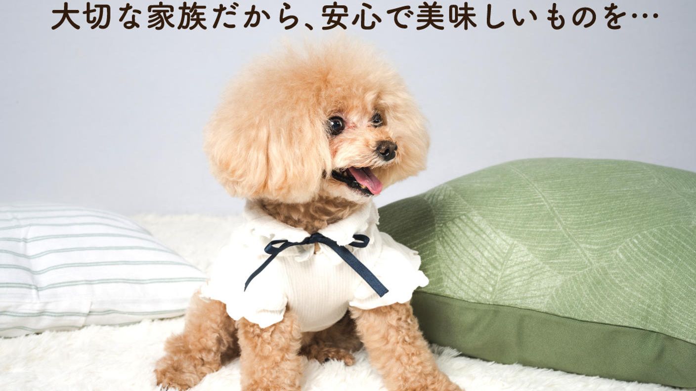 クラウドファンディングプロジェクト：愛犬家のパティシエがこだわって作った「安心・安全・高品質」のワンちゃんのおやつ