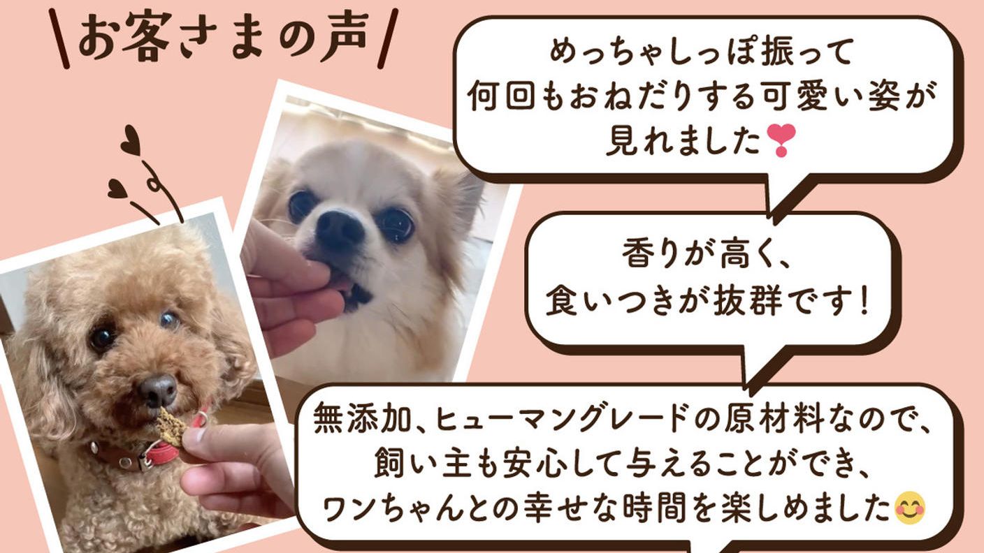 クラウドファンディングプロジェクト：愛犬家のパティシエがこだわって作った「安心・安全・高品質」のワンちゃんのおやつ