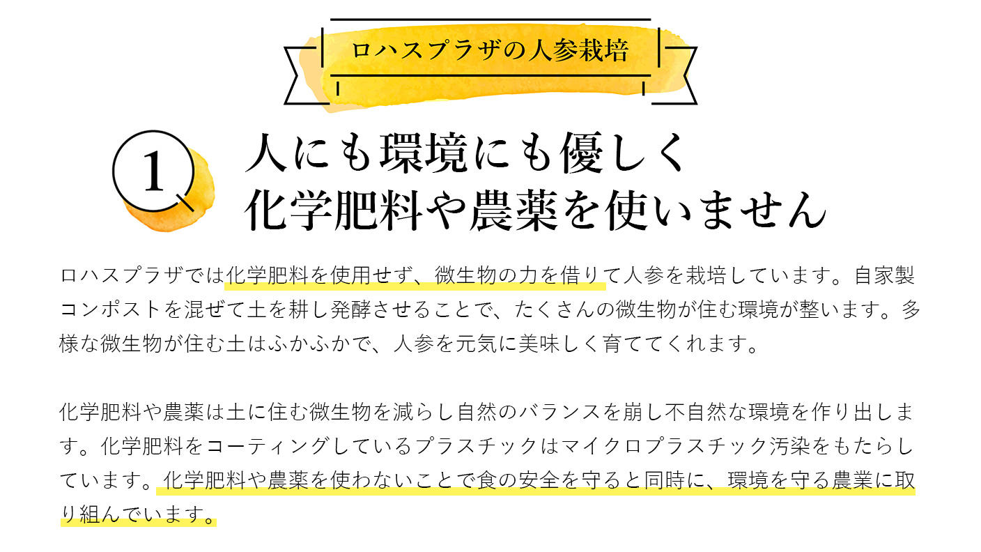 クラウドファンディングプロジェクト：人参が苦手な方でもごくごく飲める！人参と麹だけで作ったジュース【ザ・人参】