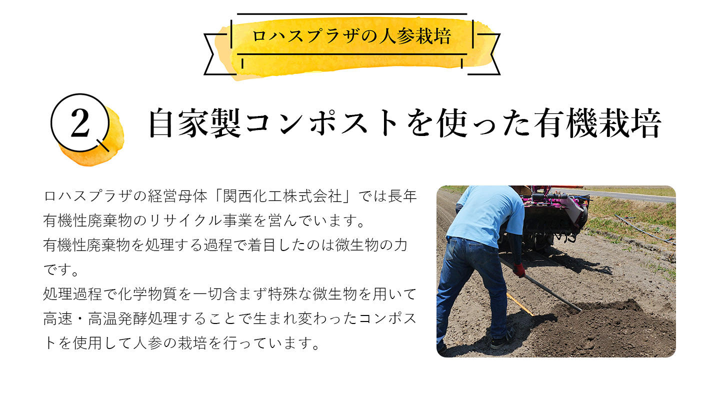 クラウドファンディングプロジェクト：人参が苦手な方でもごくごく飲める！人参と麹だけで作ったジュース【ザ・人参】