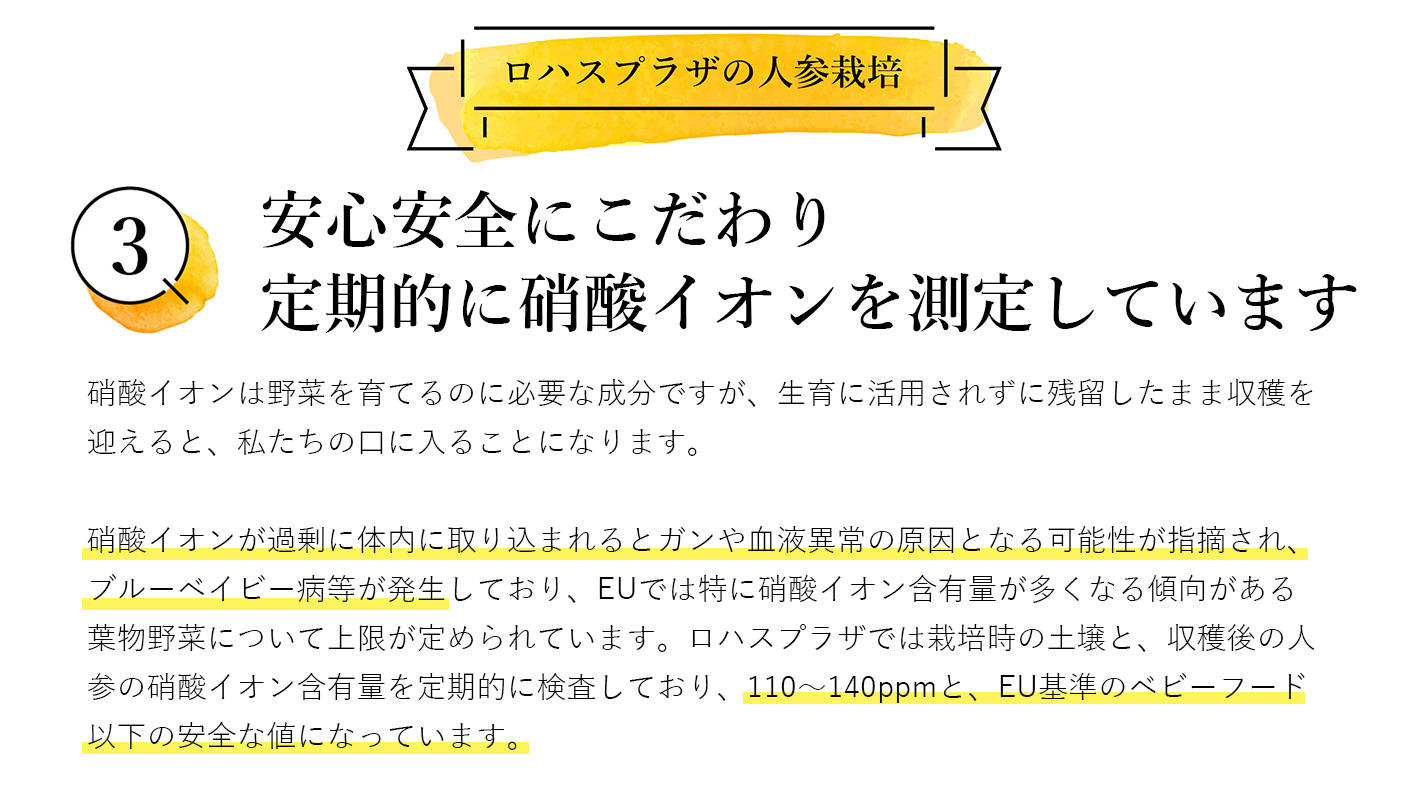 クラウドファンディングプロジェクト：人参が苦手な方でもごくごく飲める！人参と麹だけで作ったジュース【ザ・人参】