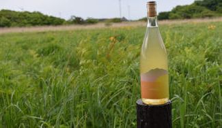 クラウドファンディングプロジェクト：【第2弾】青森県鶴田町から全国へ！！「鶴田町産のワイン」を次世代の青森の名産品にしたい！！