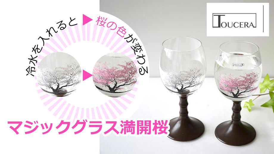 クラウドファンディングプロジェクト：冷水で色が変わるマジックグラス　満開桜