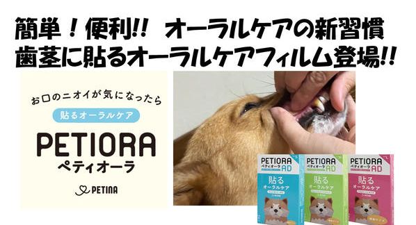 クラウドファンディングプロジェクト：貼るケアで、ペットの幸せを守る。「ペティオーラAD」これからのペットオーラルケア新常識