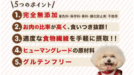 クラウドファンディングプロジェクト：愛犬家のパティシエがこだわって作った「安心・安全・高品質」のワンちゃんのおやつ