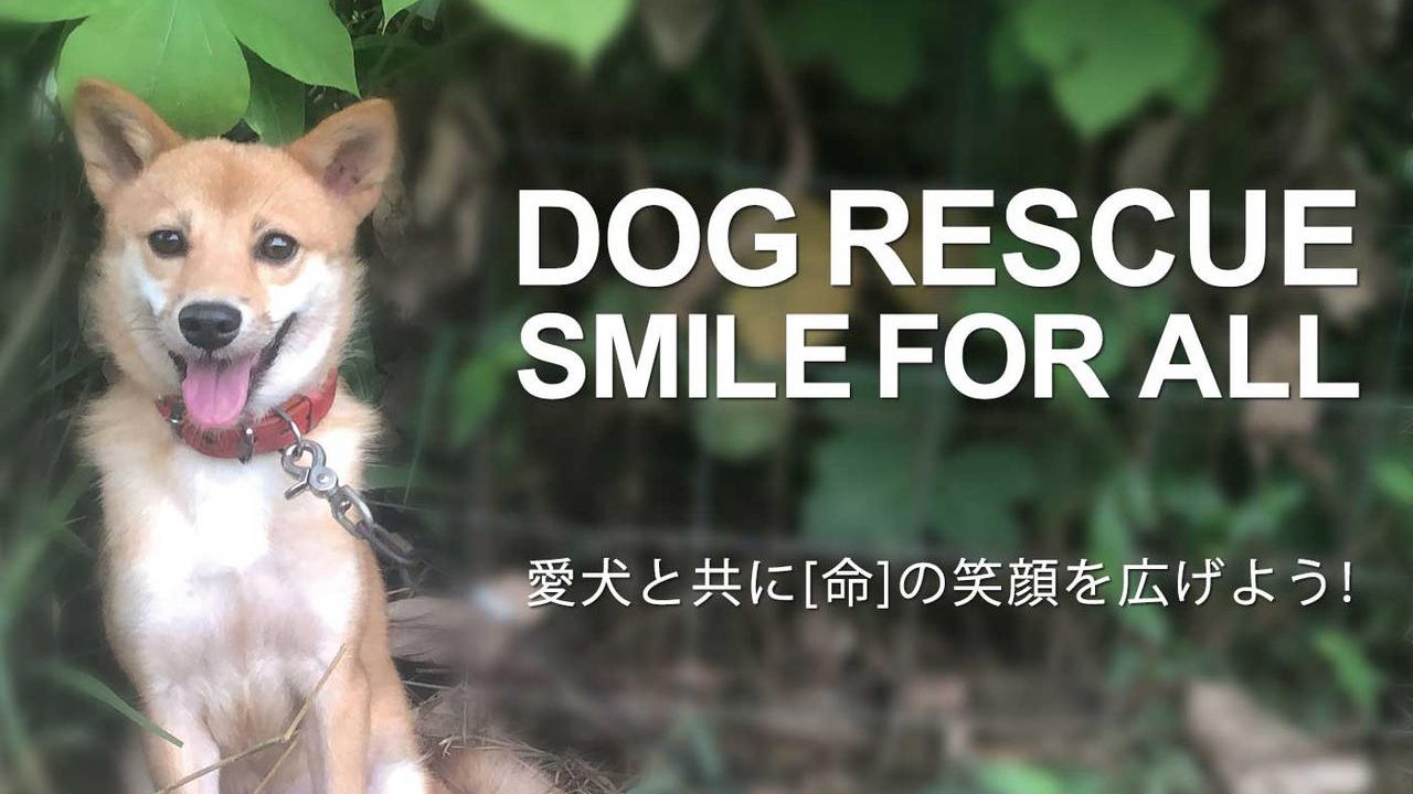 DOG RESCUE SMILE FOR ALL　愛犬と共に「命」の笑顔を広げようキャンペーン