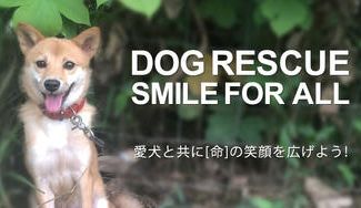 クラウドファンディングプロジェクト:DOG RESCUE SMILE FOR ALL 愛犬と共に「命」の笑顔を広げようキャンペーン