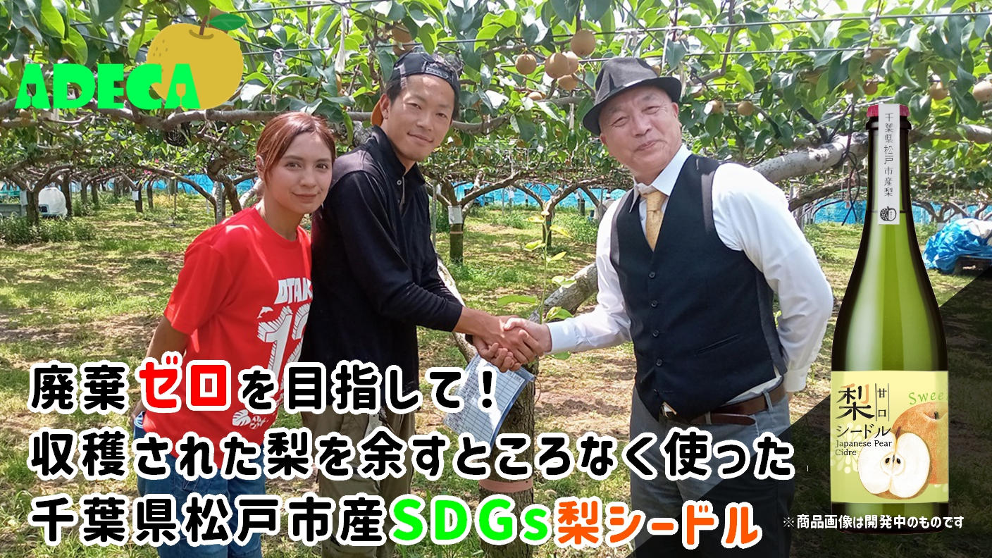 紅葉梨さん専用 梨 【羽田梨園】 萱場の梨 5kg Lサイズ以上 10～14玉 贈答用 福島県