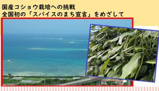 クラウドファンディングプロジェクト：国産コショウ栽培への挑戦！沖縄県名護市を「スパイスのまち」へ