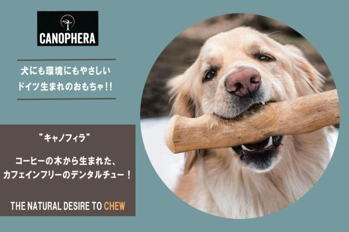 CANOPHERA(キャノフィラ） コーヒーの木から生まれた、犬にも環境にも