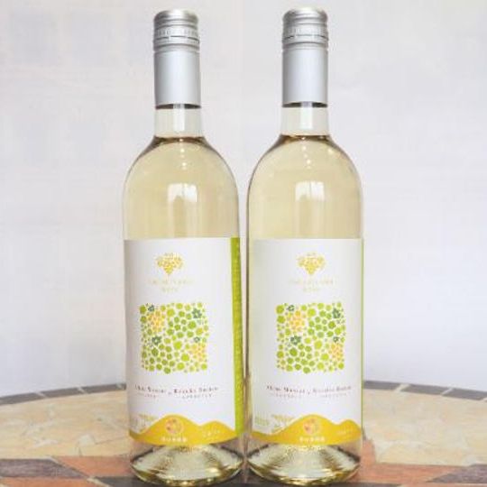 漆山ワイン（シャイン×ロザリオ）2本セット