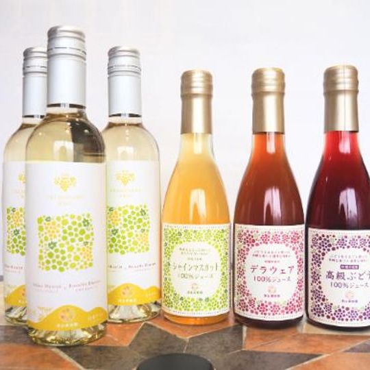漆山ワイン（シャイン×ロザリオ）375ml3本とジュース3種セット