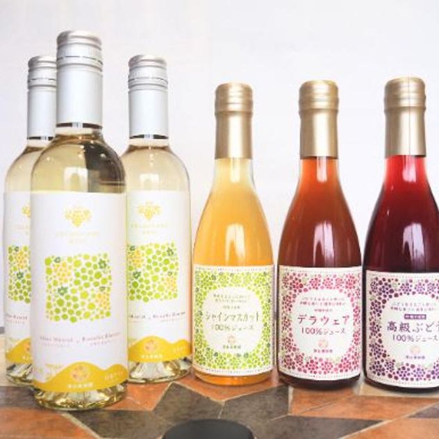 漆山ワイン（シャイン×ロザリオ）375ml3本とジュース3種セット