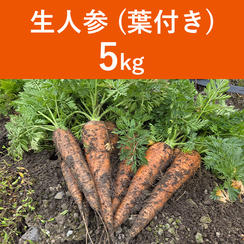 生人参【葉付き】5kg