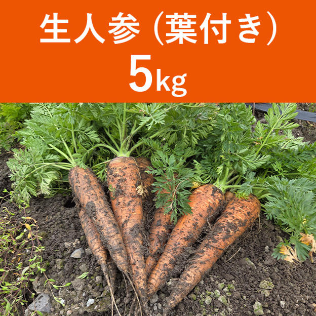 生人参【葉付き】5kg