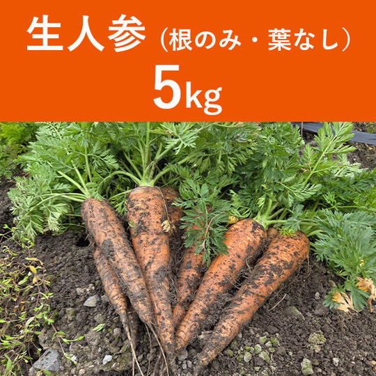 生人参【葉なし】 5㎏