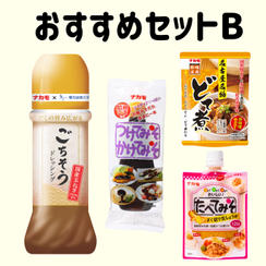 ナカモおすすめセットB
