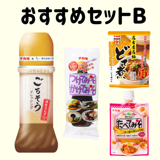 ナカモおすすめセットB