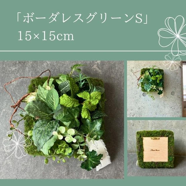 【早割15％オフ】ボーダレスグリーンS