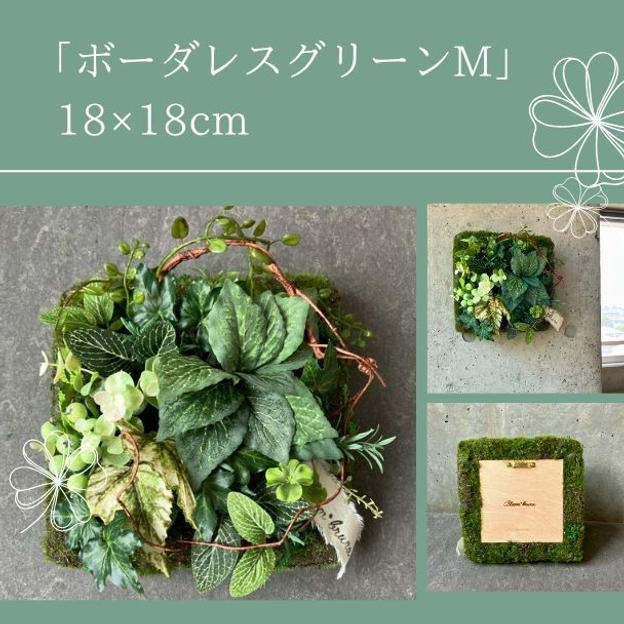 【早割15％オフ】ボーダレスグリーンM