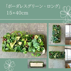 【早割15％オフ】ボーダレスグリーン・ロング