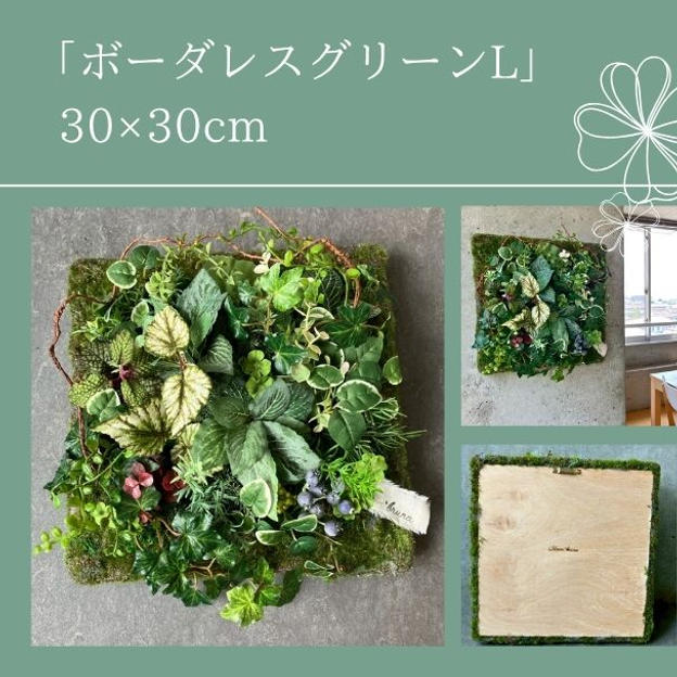 【早割15％オフ】ボーダレスグリーンL