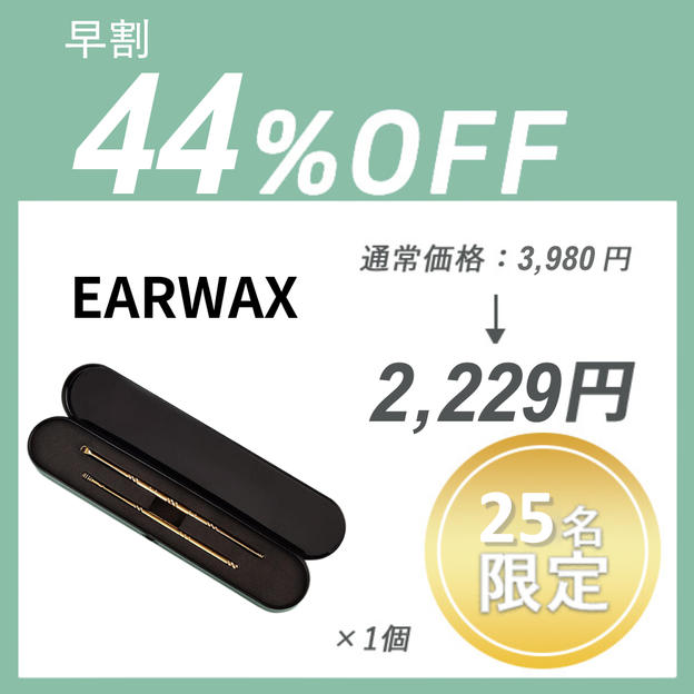 【早割】EARWAX CLEANER ×１セット