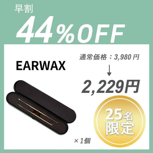 【早割】EARWAX CLEANER ×１セット