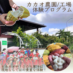 【支援者限定】OCAオーガニックカカオ農園・工場体験プログラム（1〜2名さま）