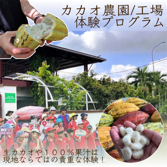【家族・グループ向け】OCAオーガニックカカオ農園・工場見学体験プログラム（3〜4名さま）