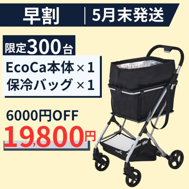 【早割6000円OFF】 EcoCa 保冷バッグセット