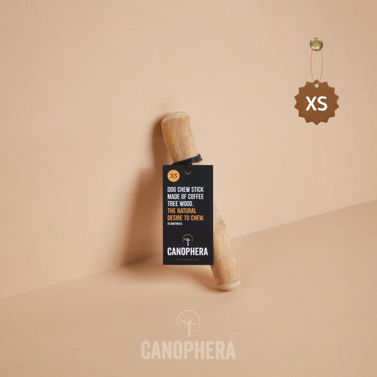 キャノフィラ デンタル チュースティック XS 1本