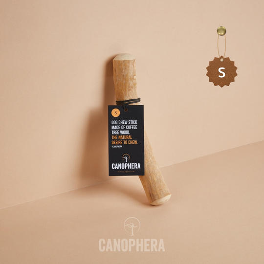 キャノフィラ デンタル チュースティック S 1本