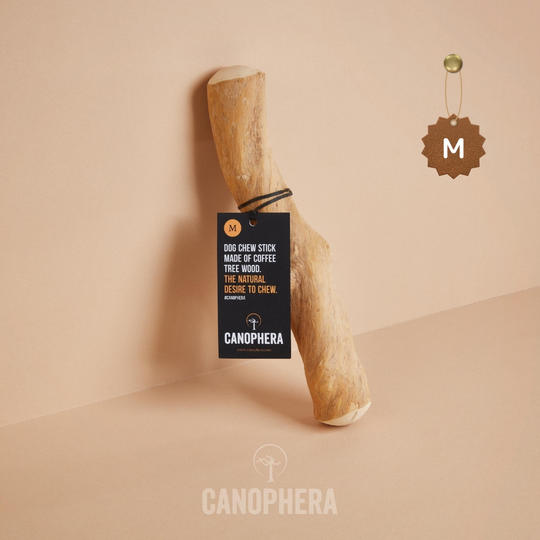 キャノフィラ デンタル チュースティック M 1本