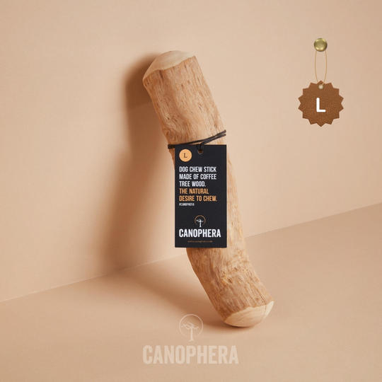 キャノフィラ デンタル チュースティック L 1本