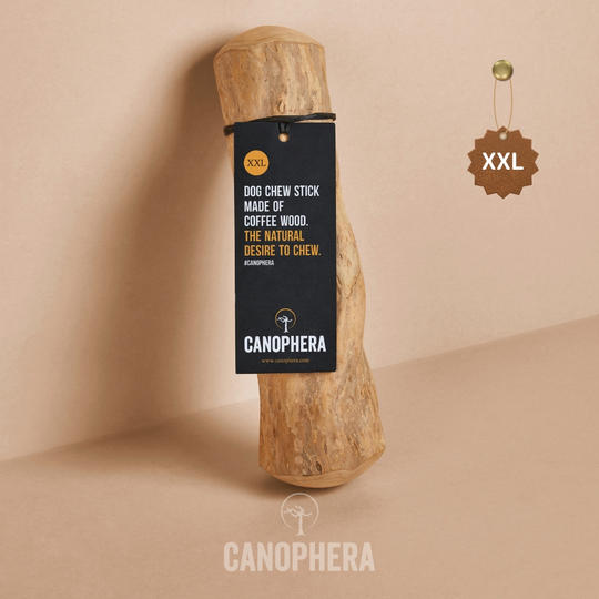 キャノフィラ デンタル チュースティック XXL 3本セット