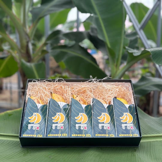 HAMANAKOりきバナナコース