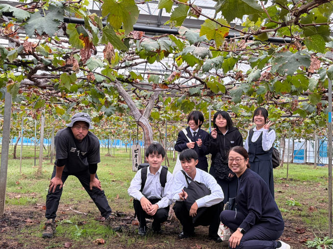 ぶどう園視察
